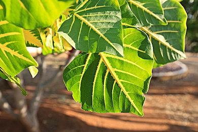 Epic榜单：值得在冬季假期中游玩的完美PC游戏