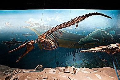 《F1 22》新预告展示迈阿密国际赛道预热场景